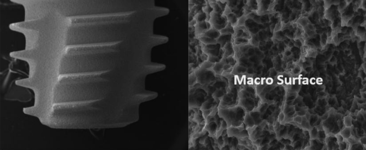 Apex Surface composition of Dental Implants DIO